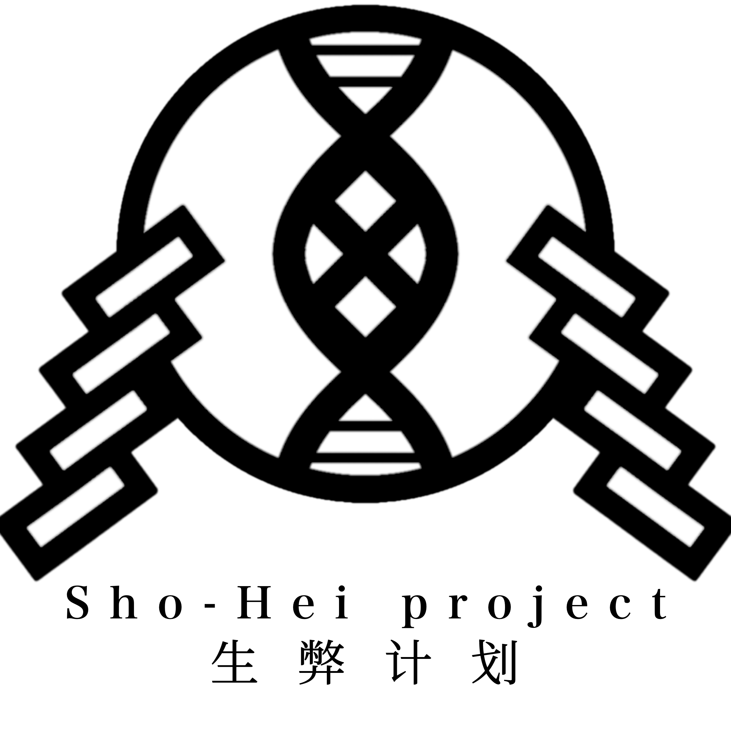 sho-hei%2520project.png