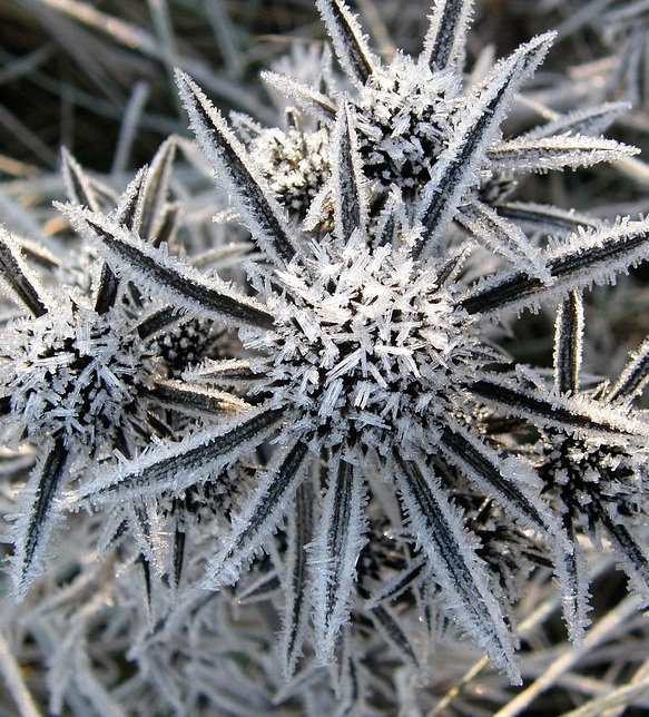 Ice03.jpg