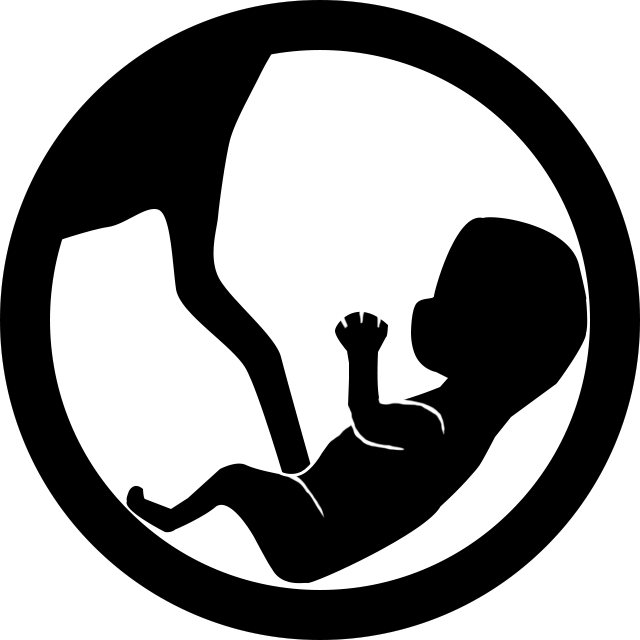 Epsilon8.png