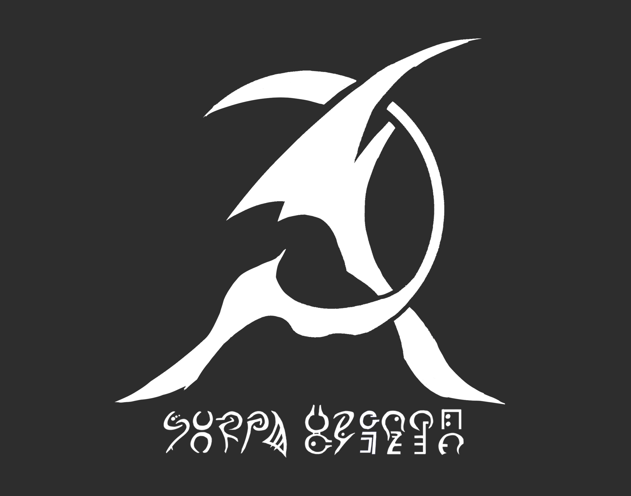 边境巡逻队