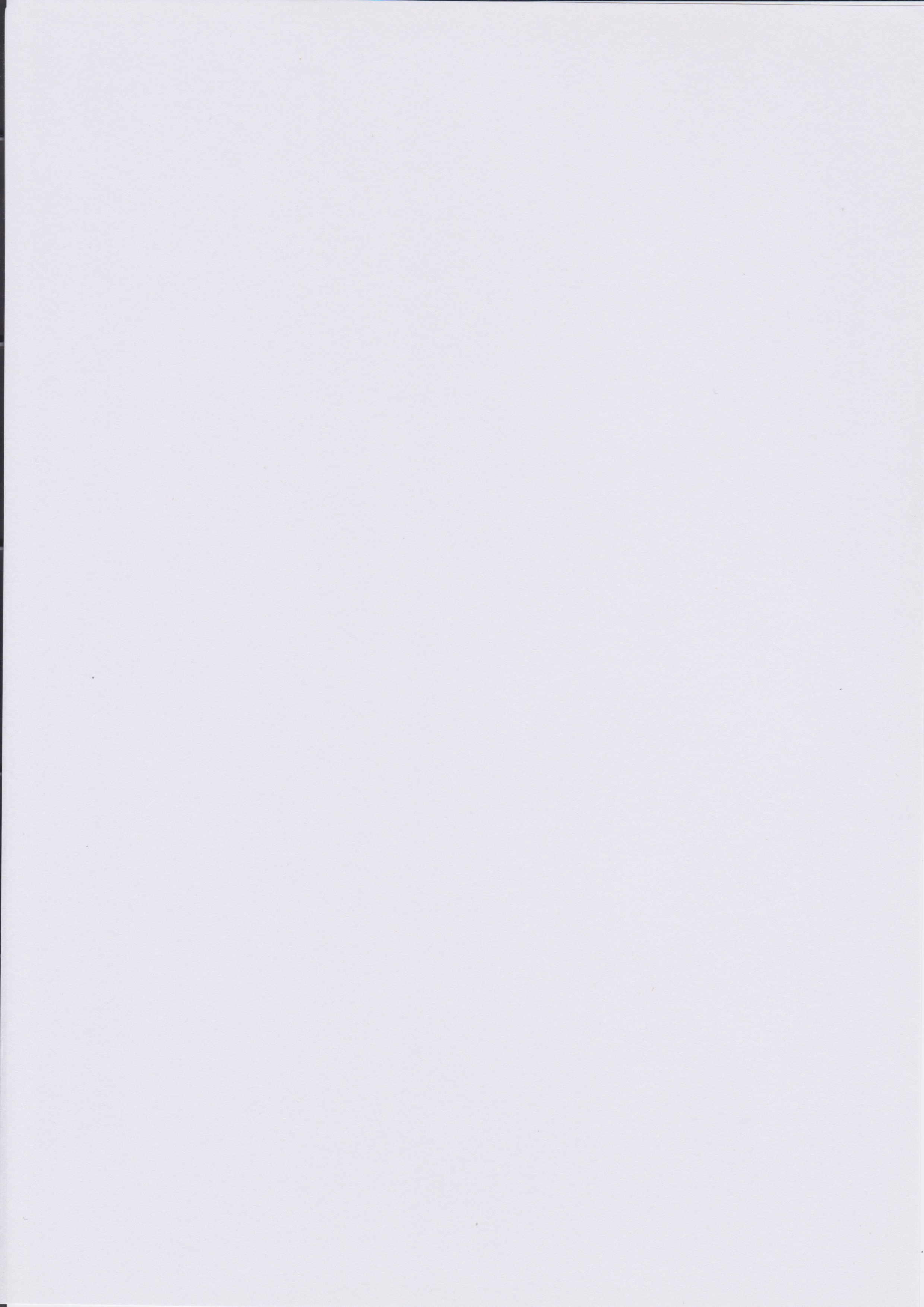 empty.jpeg