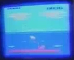 vcs_nr_frogpond_1.jpg