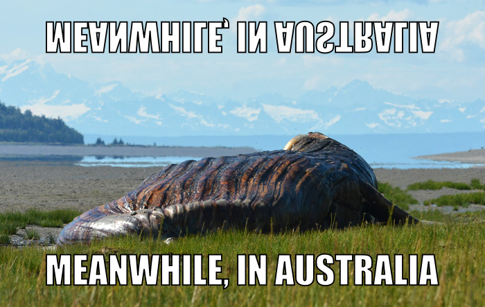 MeanwhileMeanwhile.jpg