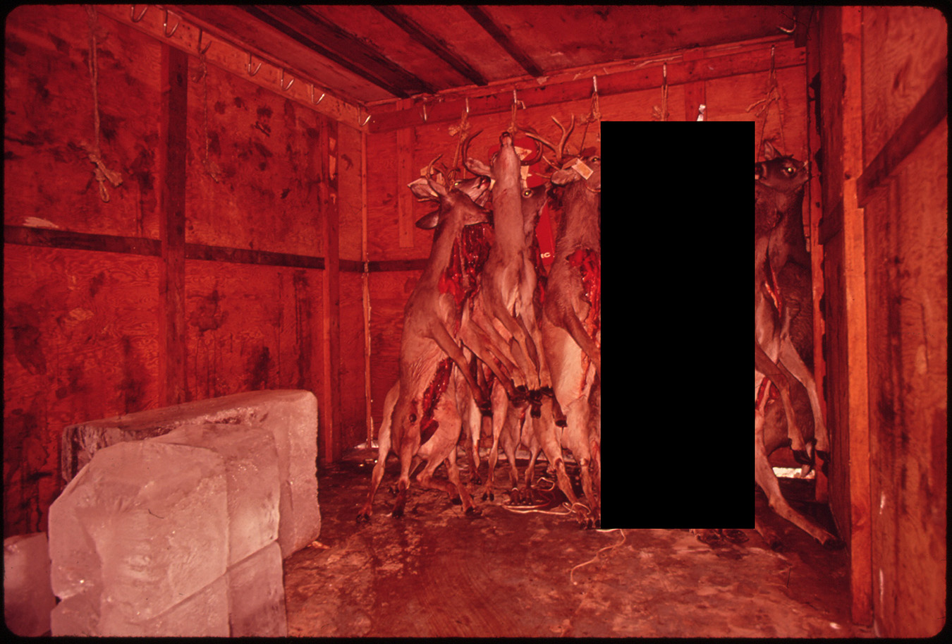 DEER_STORAGE.jpg
