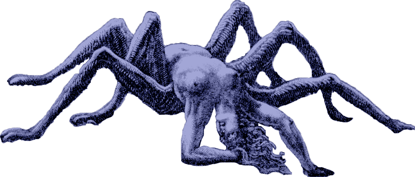 spider