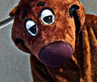 Beaver.jpg