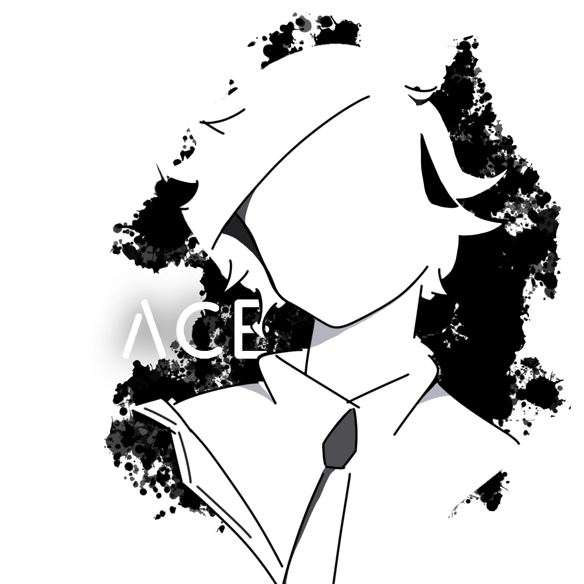 AceAttackAssassin-1