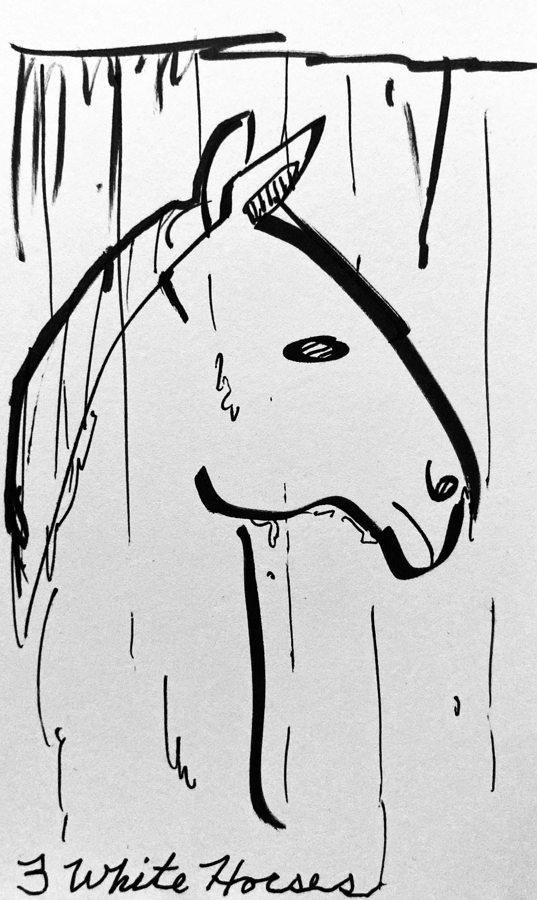 3-white-horses-tiny.png
