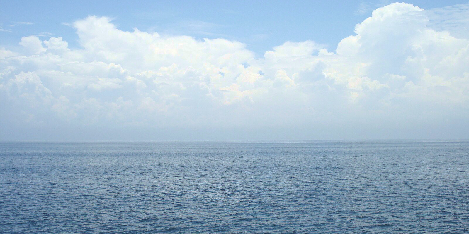 view-from-site-cn-60.jpg
