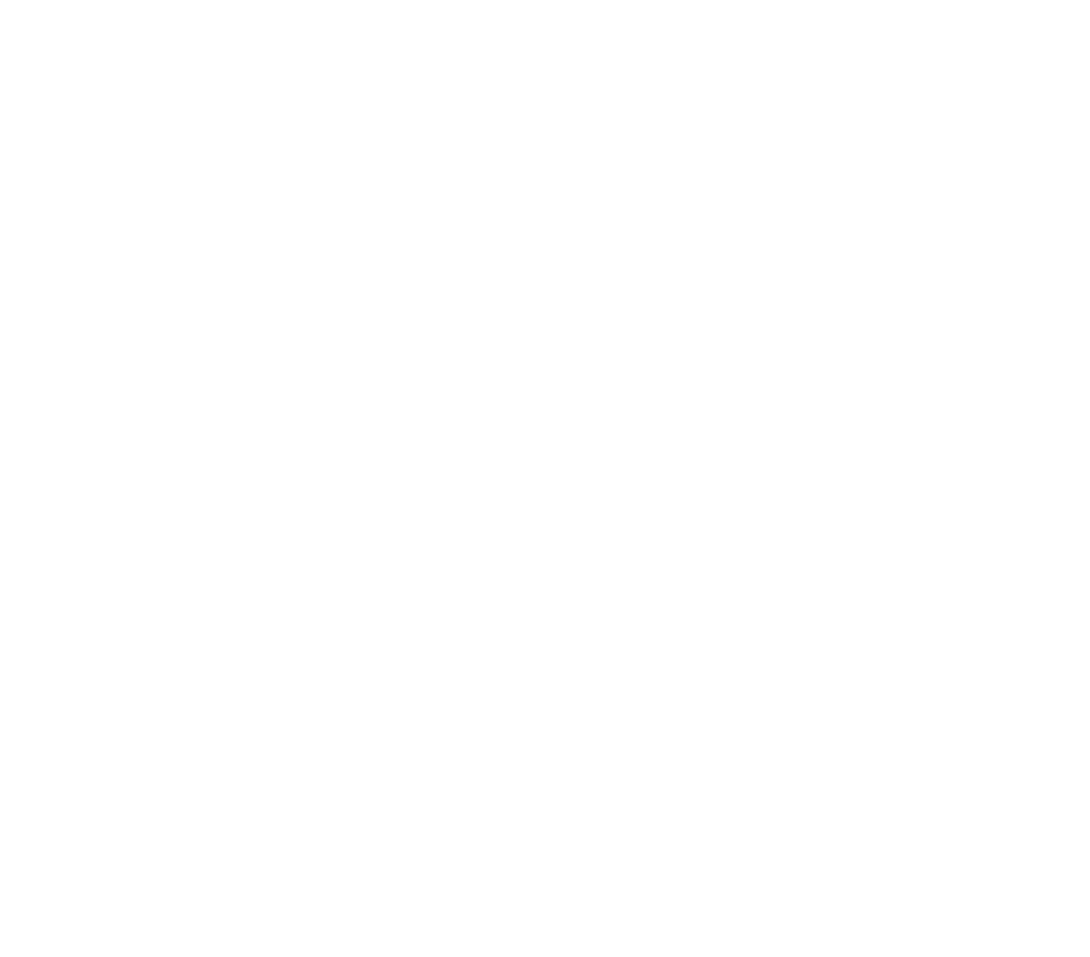 BARRIER.png