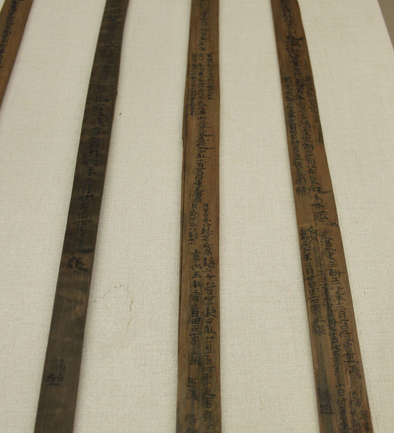 AGC_bamboo_1.jpg