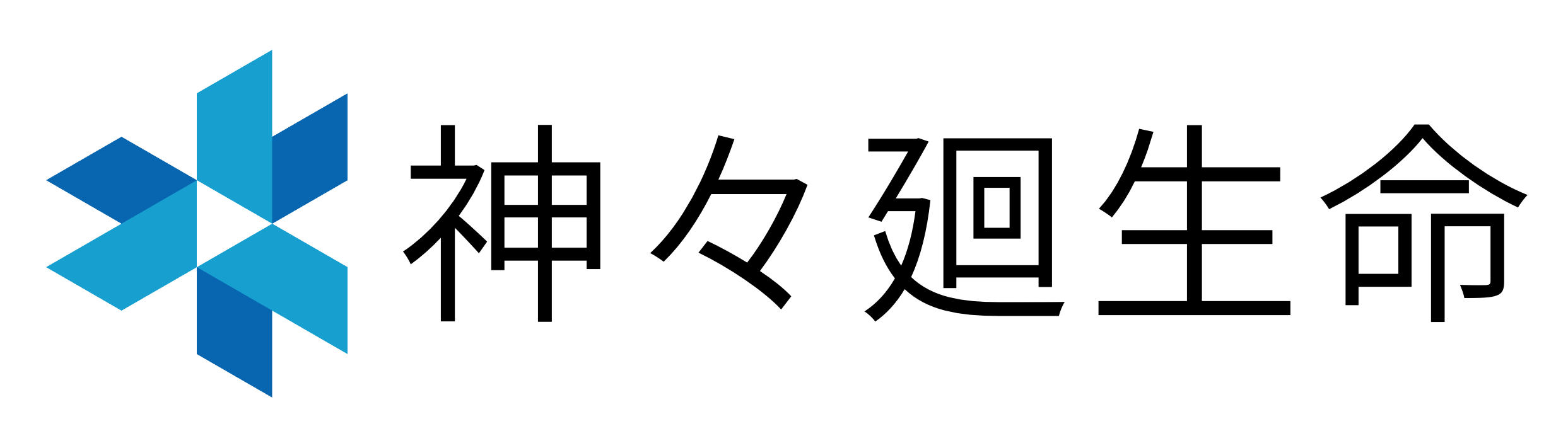 SHISHIBA-LIFE-INSURANCE-LOGO.png