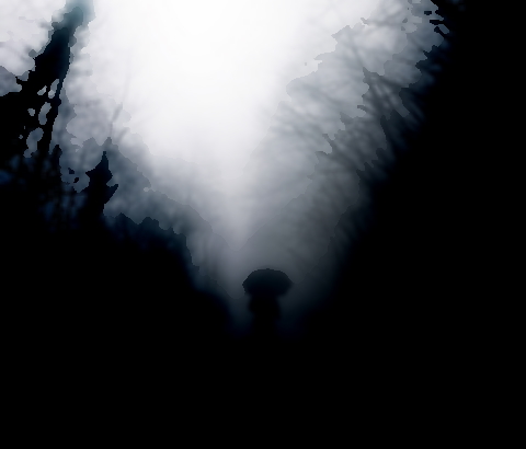 scp_cn_2915_3.jpg