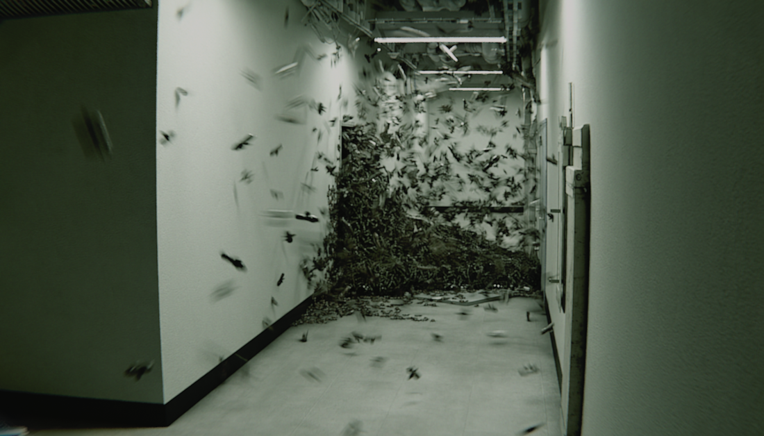 bugs.png