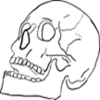 文学报特刊题头B.png