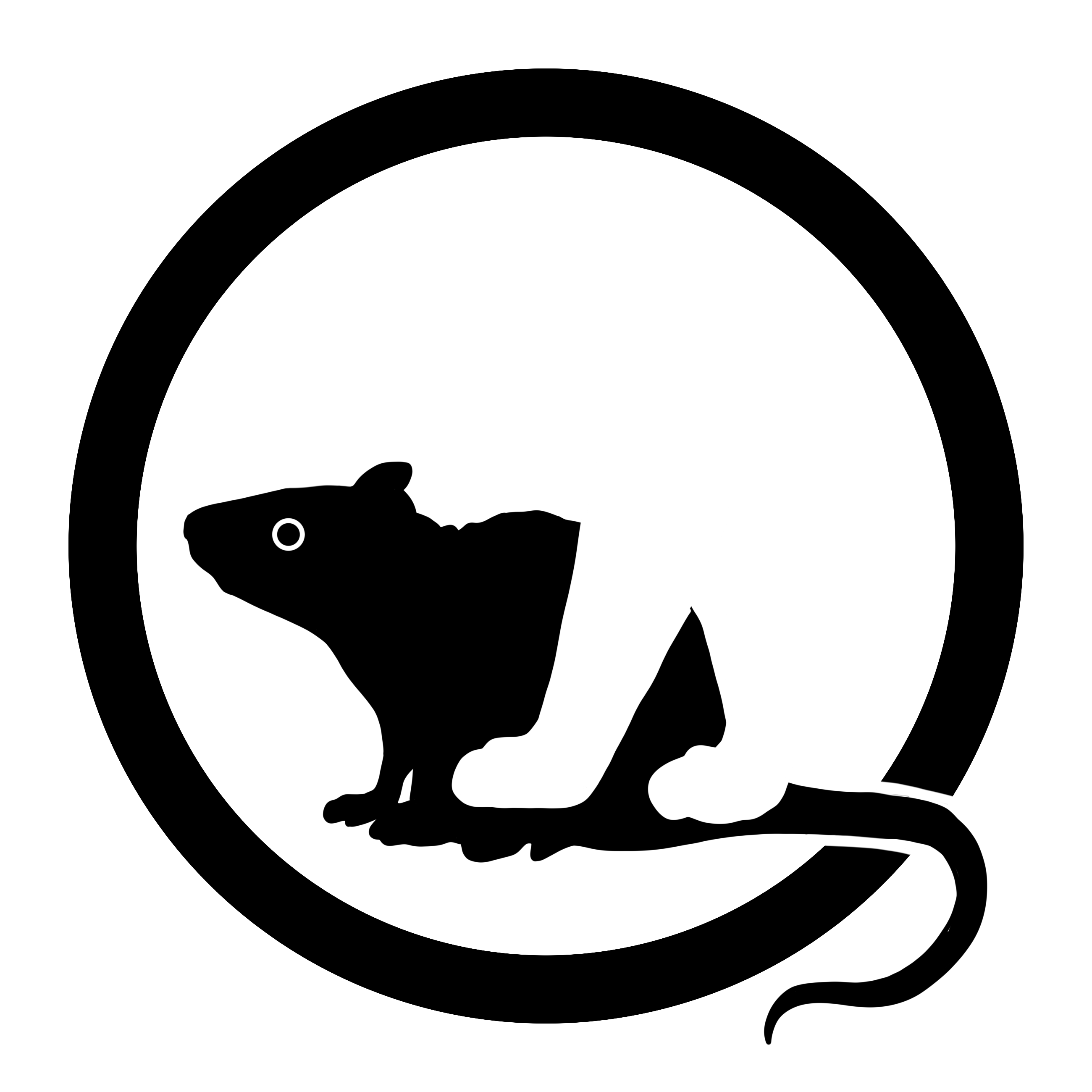 猫1.png