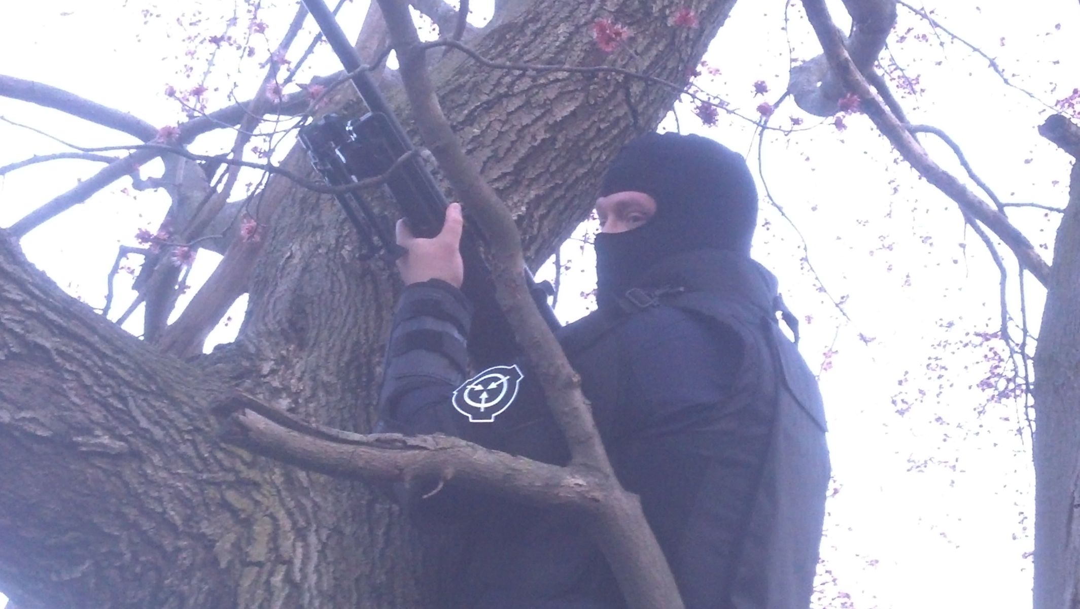 2-rDF73ZL.jpg