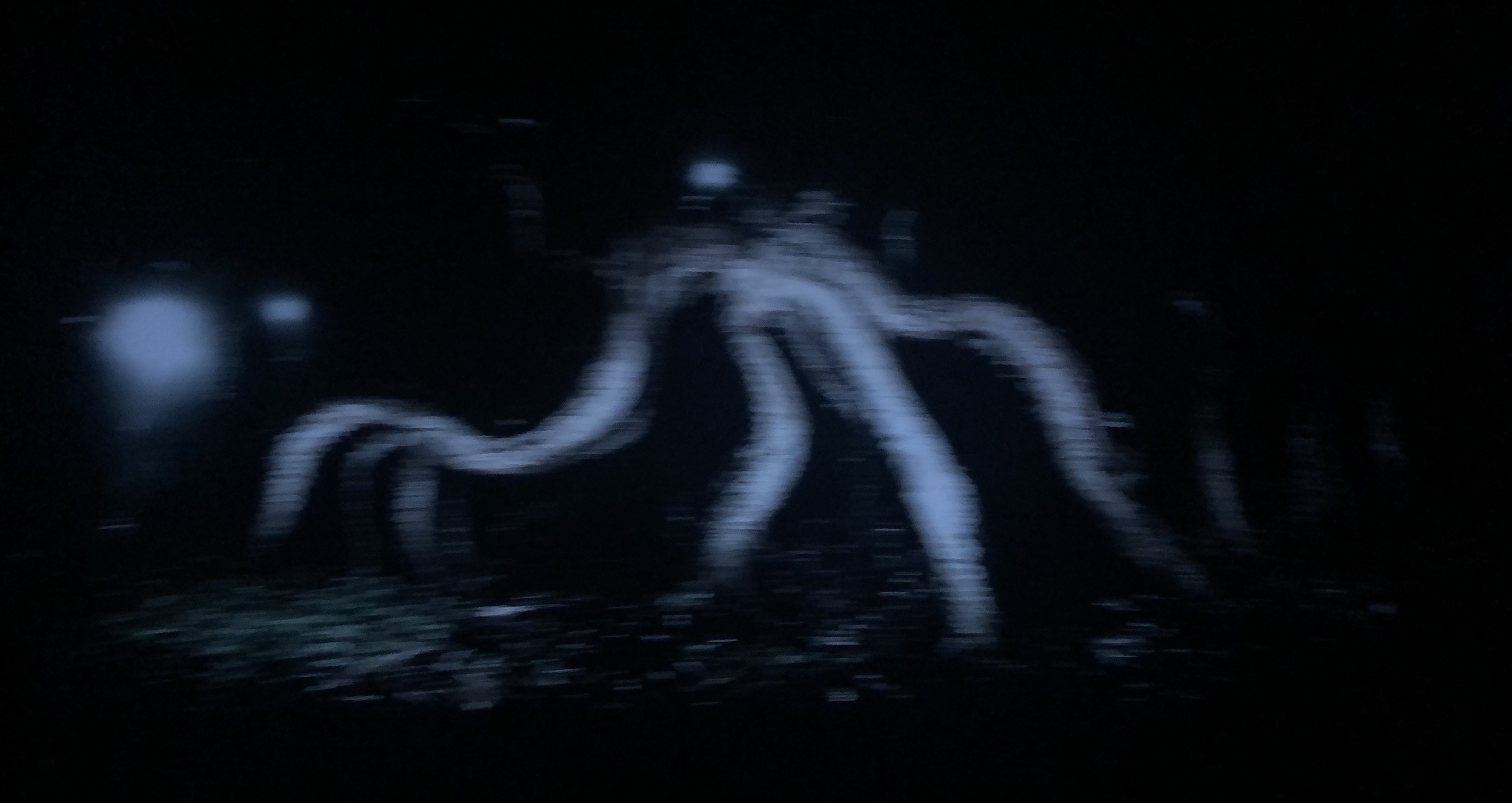 octo