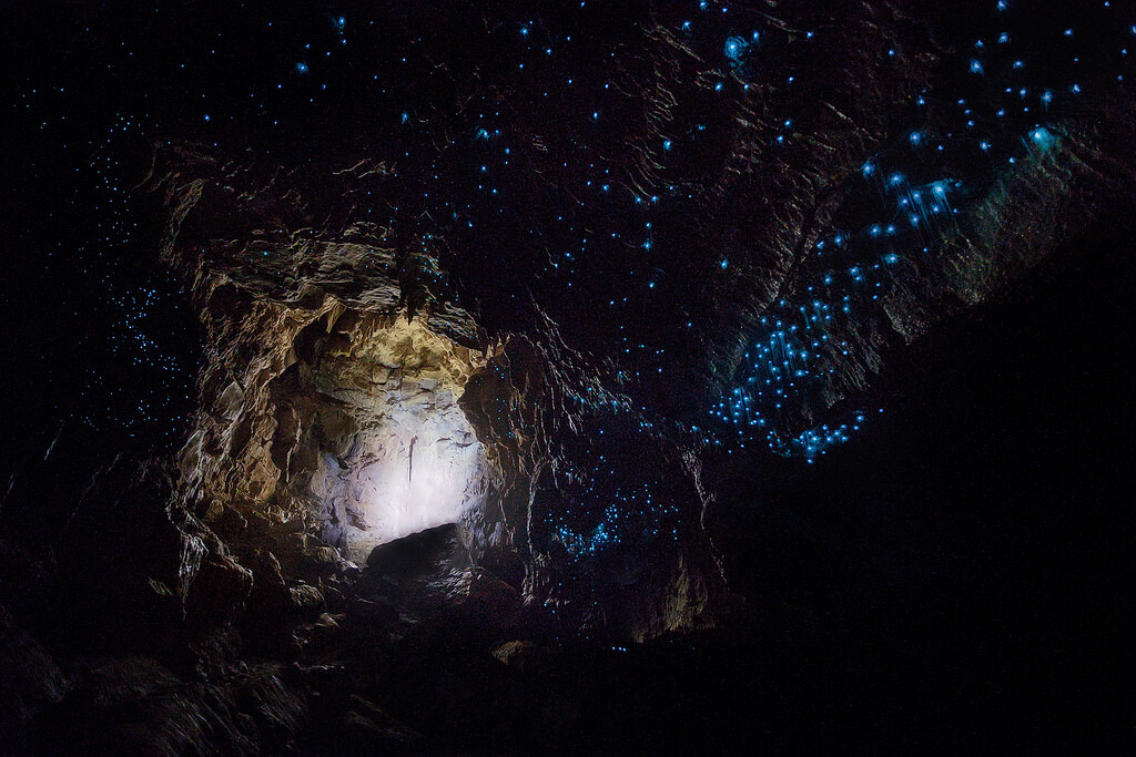 Waitomo_Cave.jpg