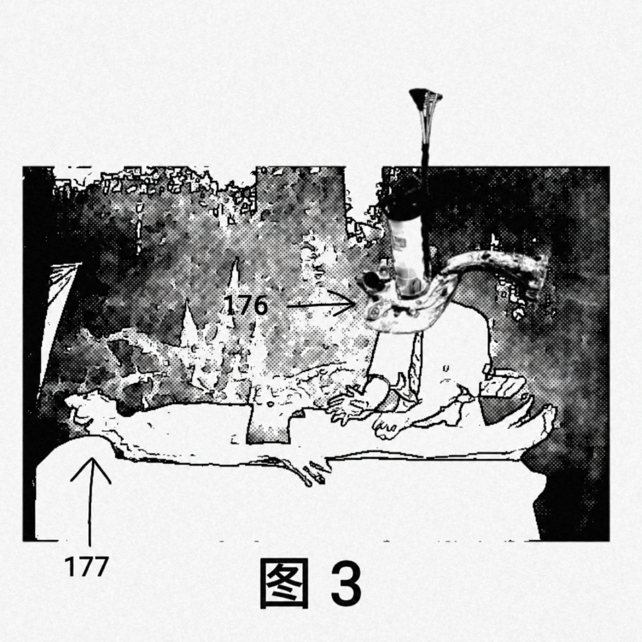 FIG3