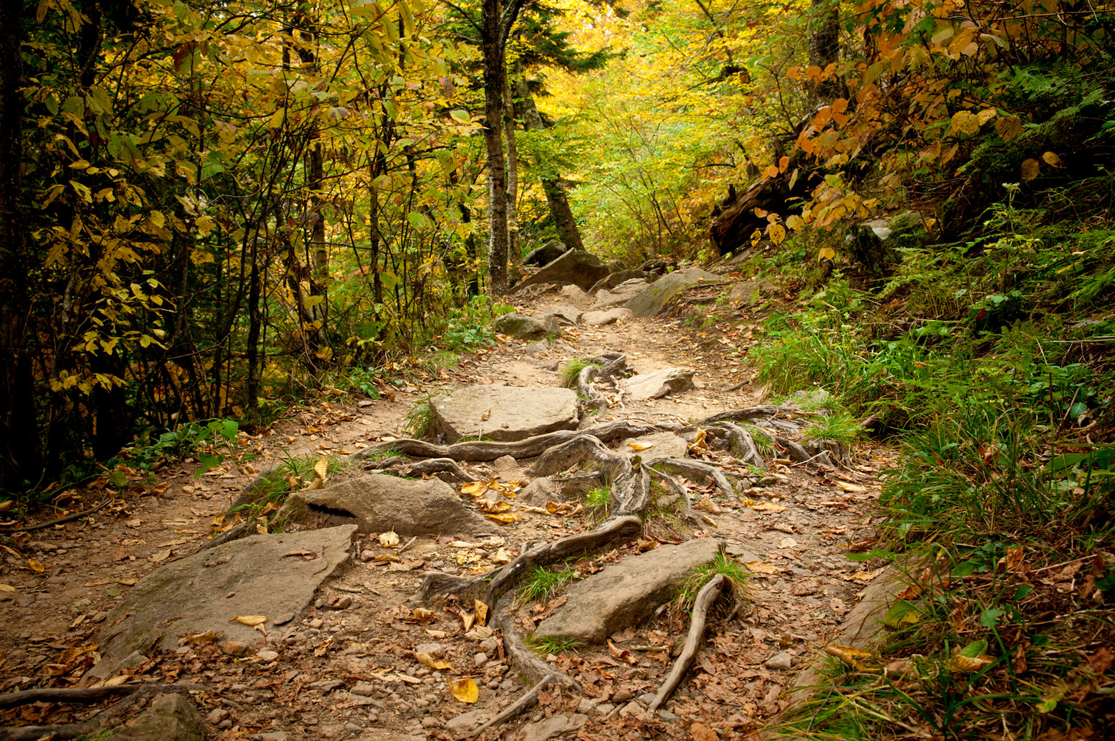 Appalachia3