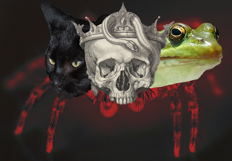 SCP-3615.png