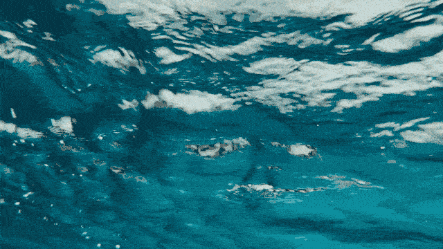 ocean.gif