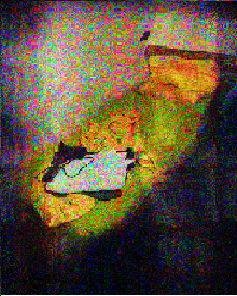 grenda2(1).png