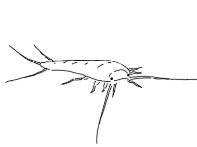yiyu.png