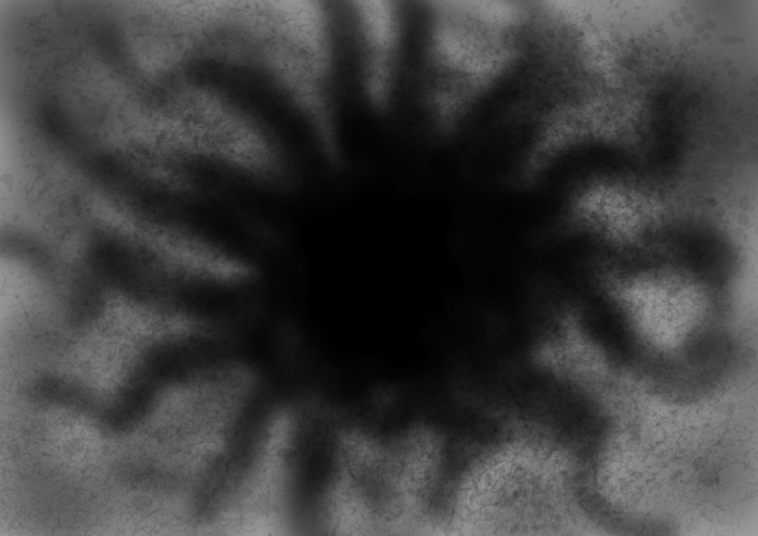 Iteration_4