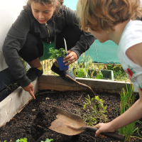 Garden.jpg