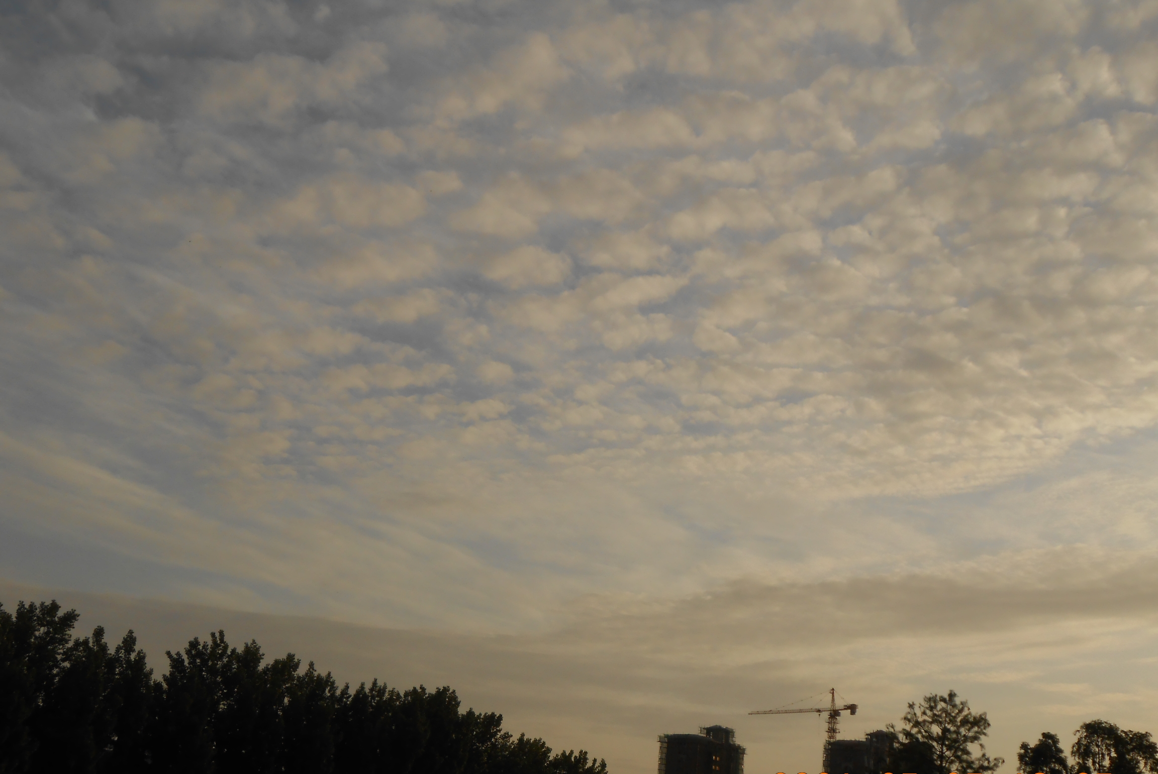 IMG20210707_205619.jpg