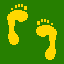 footprint