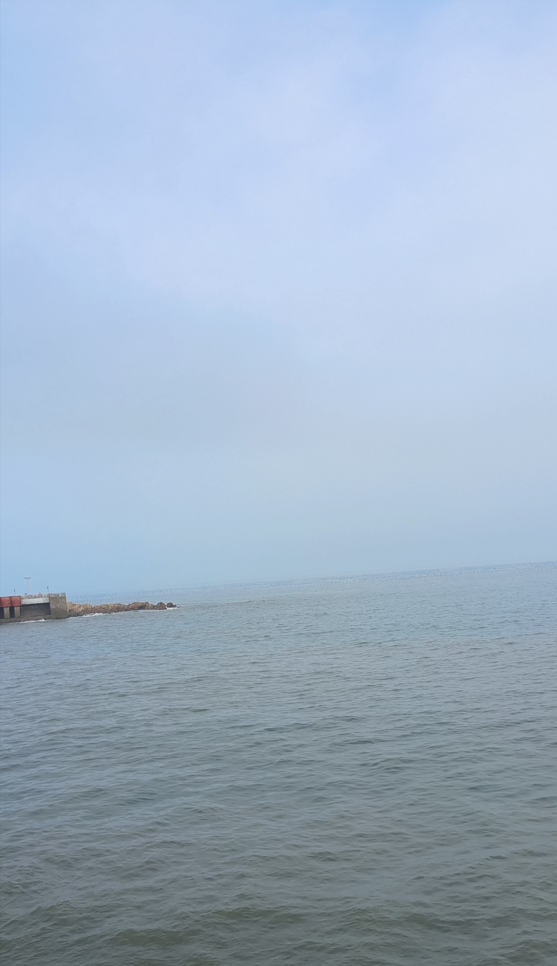 IMG_20241018_211158.jpg