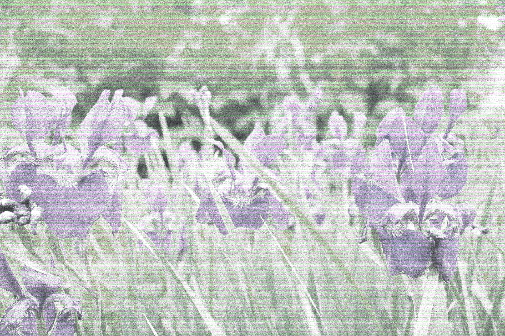 retouch_2025120601225398.jpg