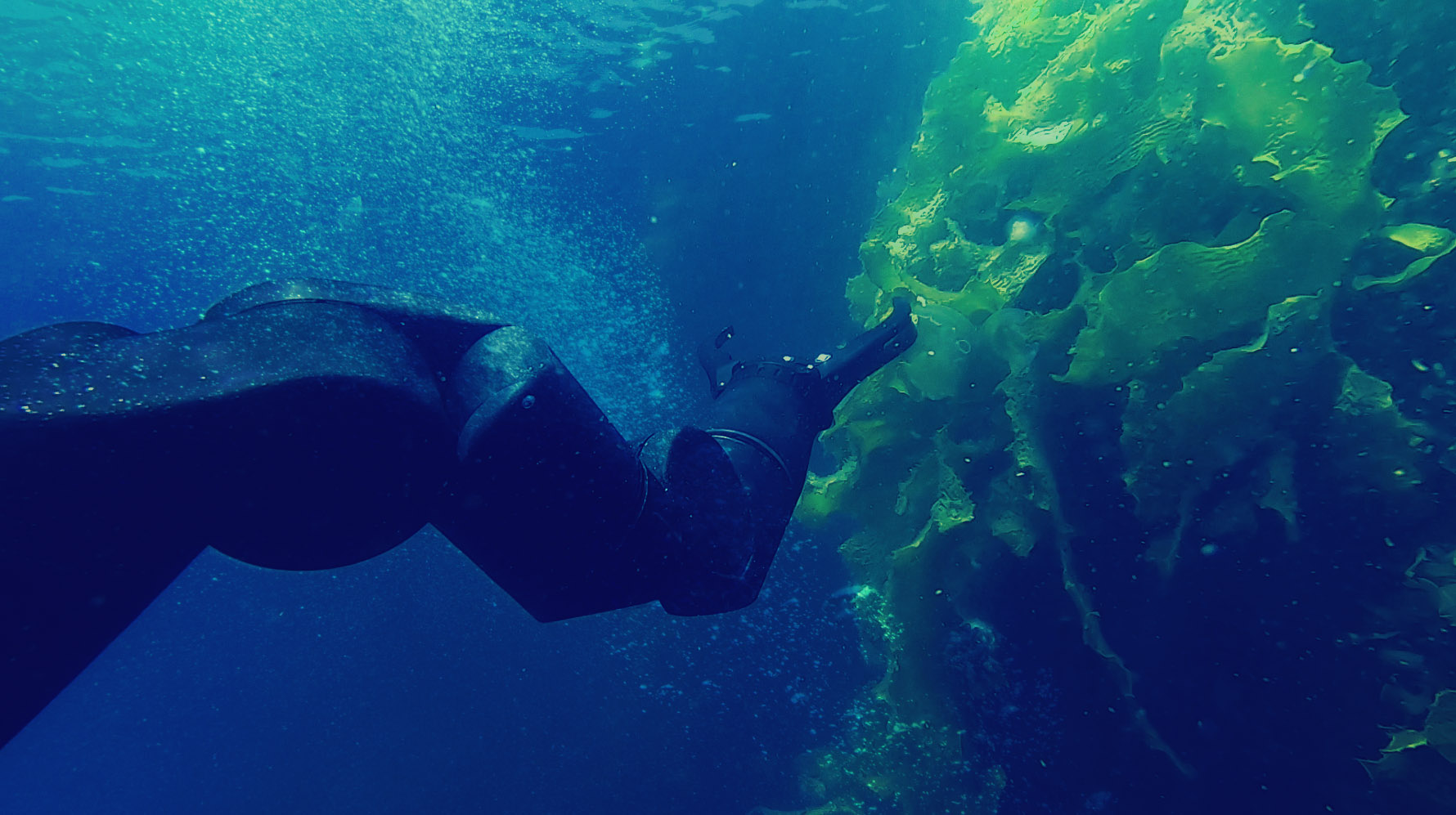 Underwater_ROV_Manipulator_Arm_4.jpg
