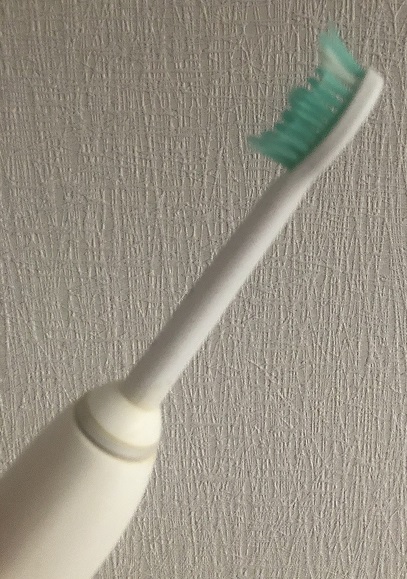 tooth1.JPG