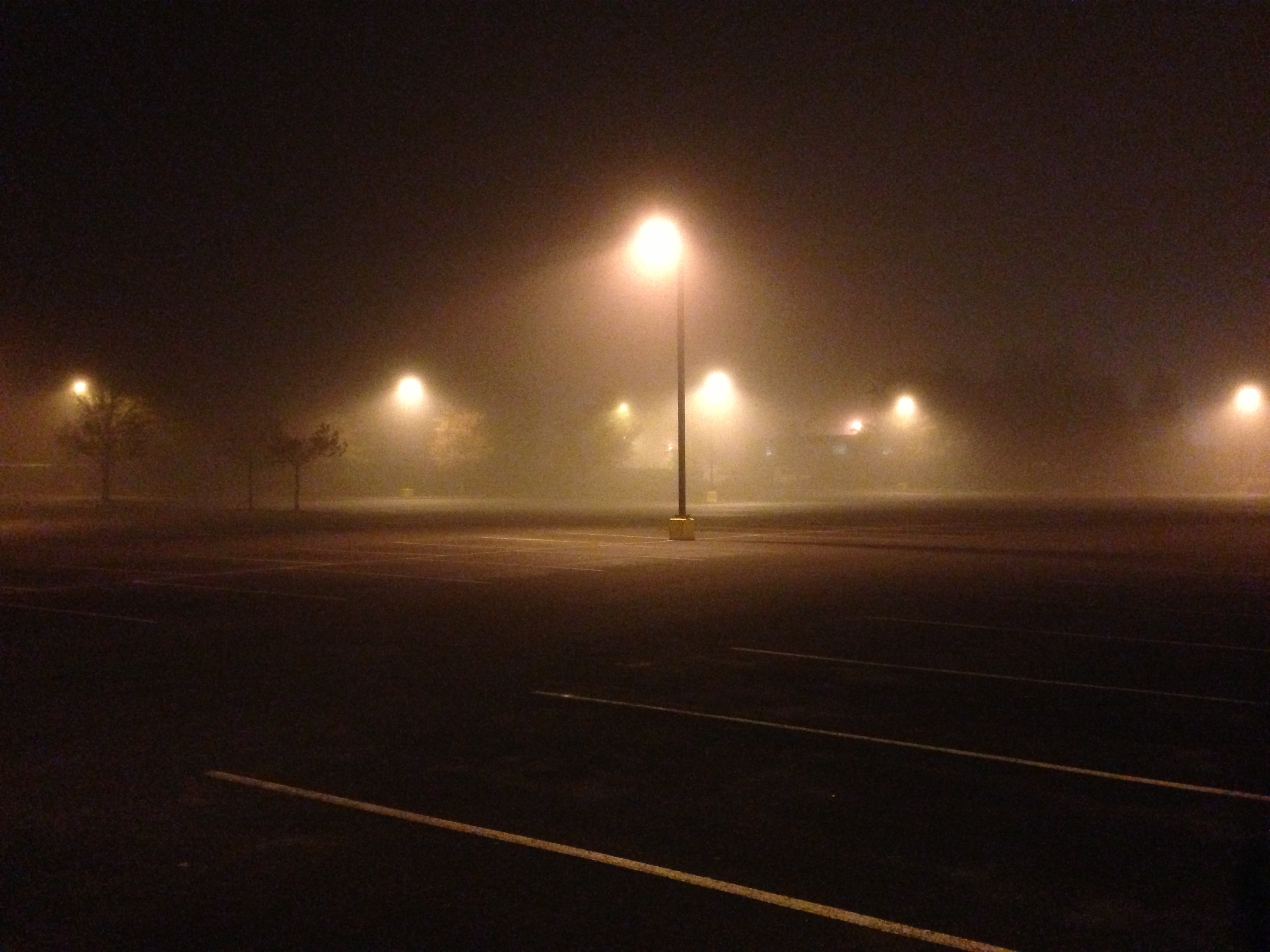 2014-05-10_01_13_05_Fog_in_Parking_Lot_98A_near_the_Institute_of_Marine_and_Coastal_Sciences_on_the_Cook-Douglass_Campus_of_Rutgers_University.JPG
