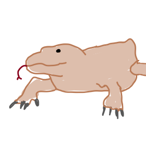 TheDragon.png