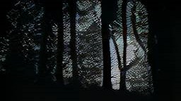 Forest Silhouette 1 CROPPED.jpg