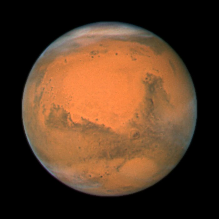 opo0745a.jpg
