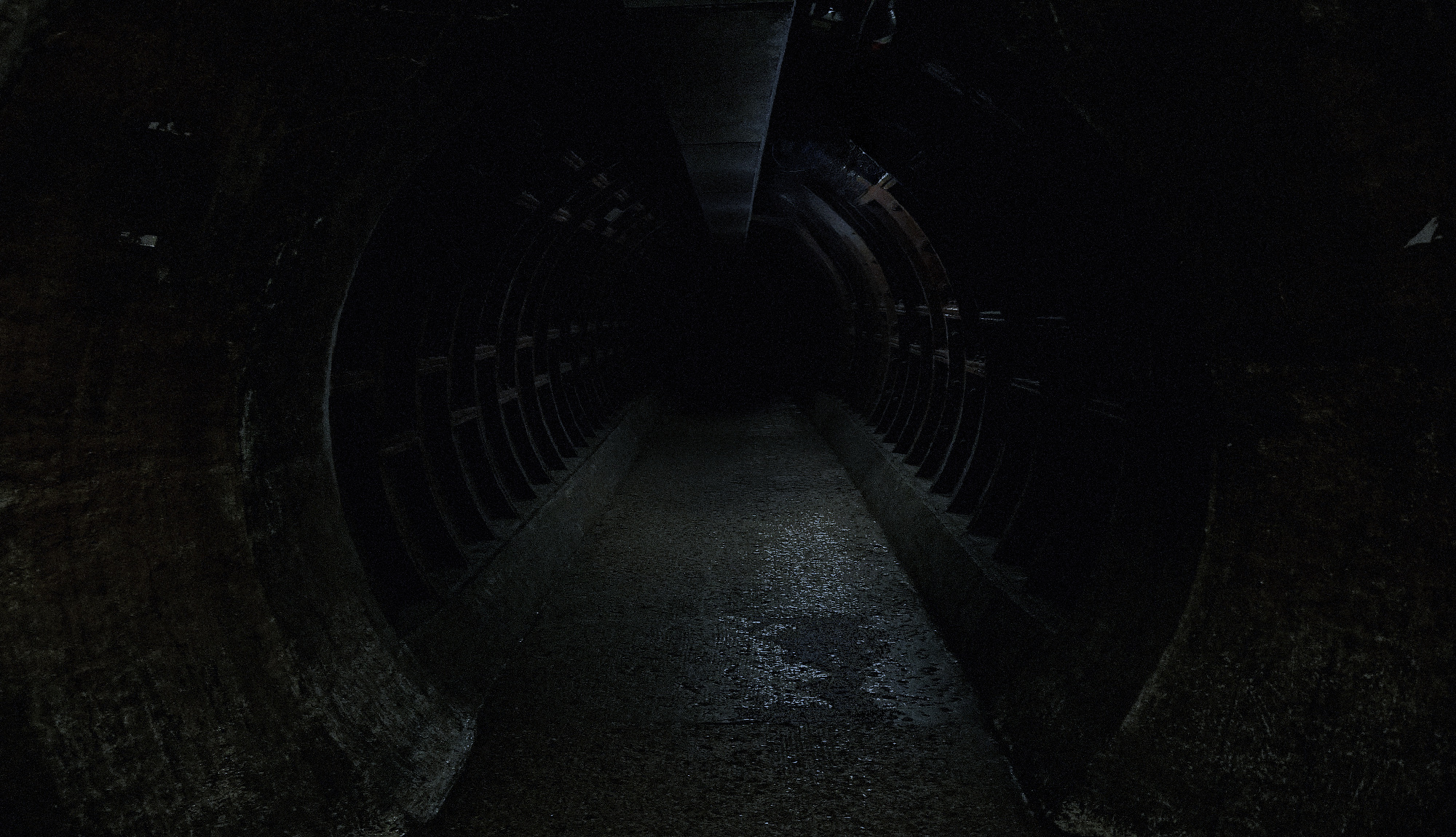 admo-6183-tunnel.jpg