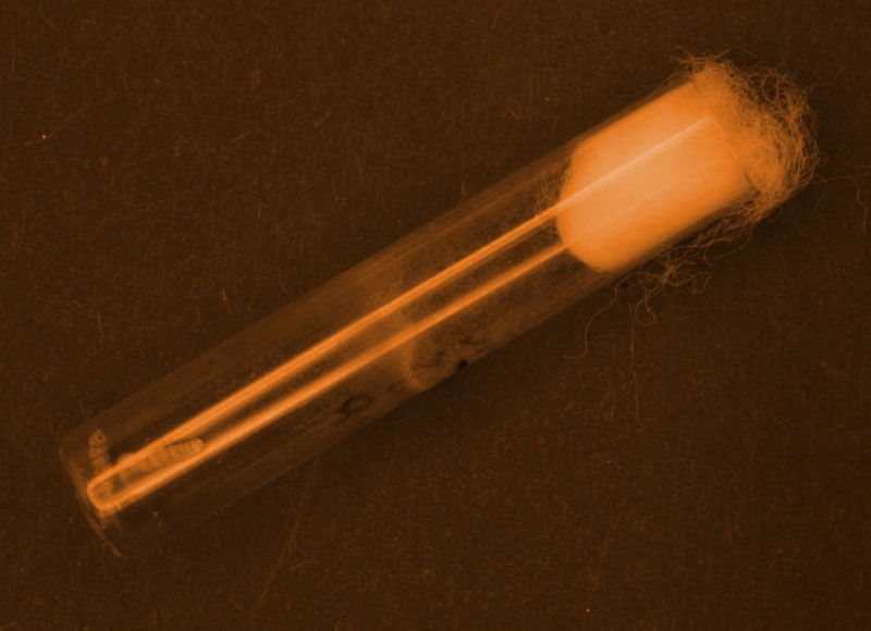 AGC_sericin.jpg