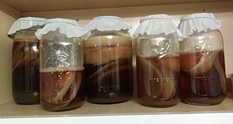 330px-Kombucha_scobies.jpg