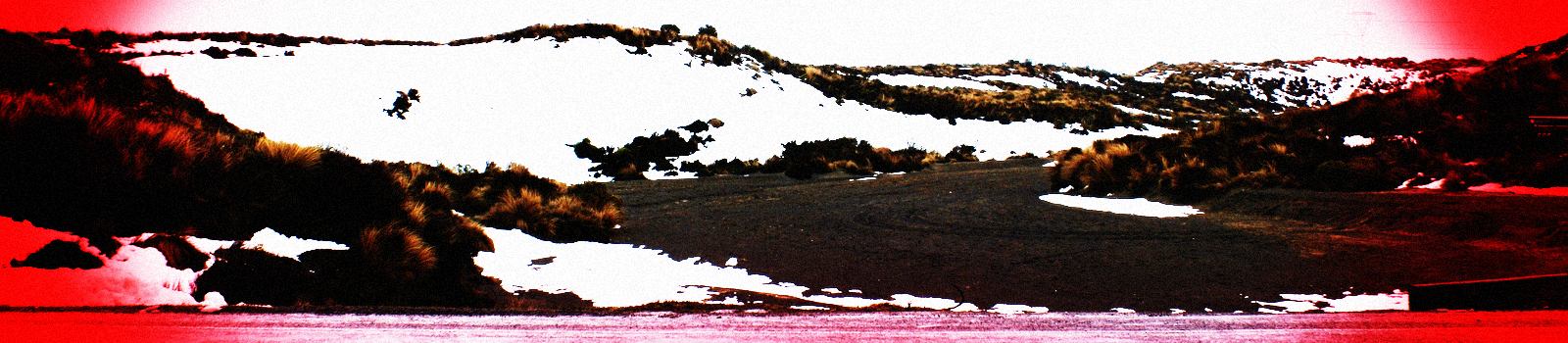 Ice.png