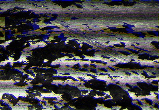 oilspill.jpeg