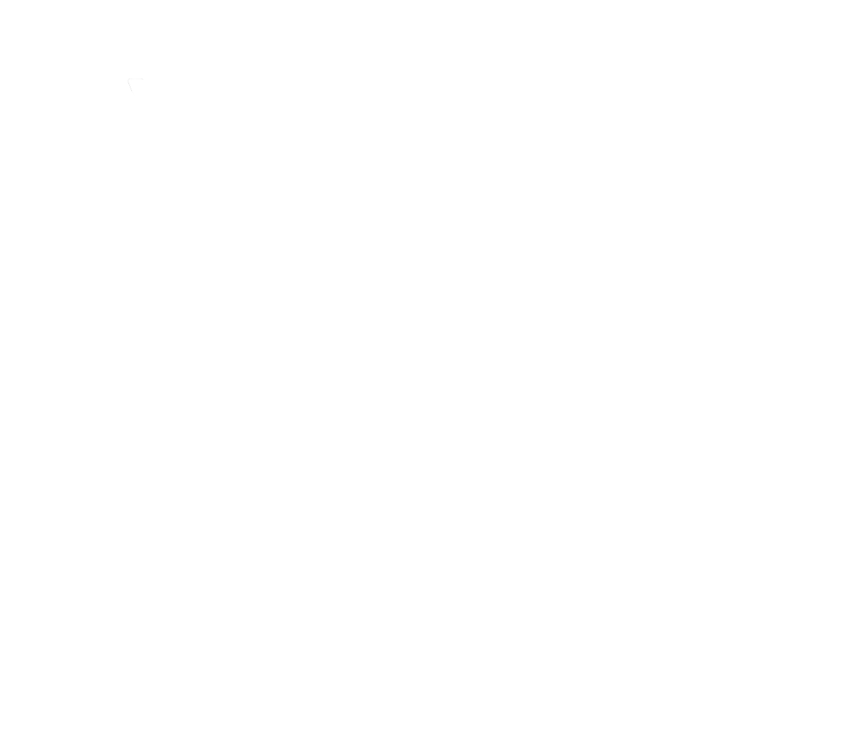 CI-Logo-INT-Standard.png