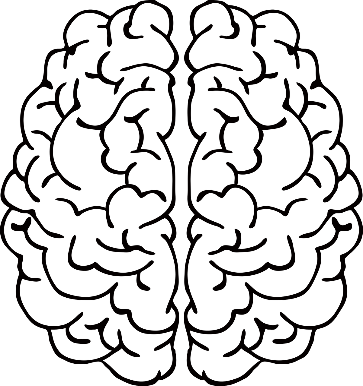 brain
