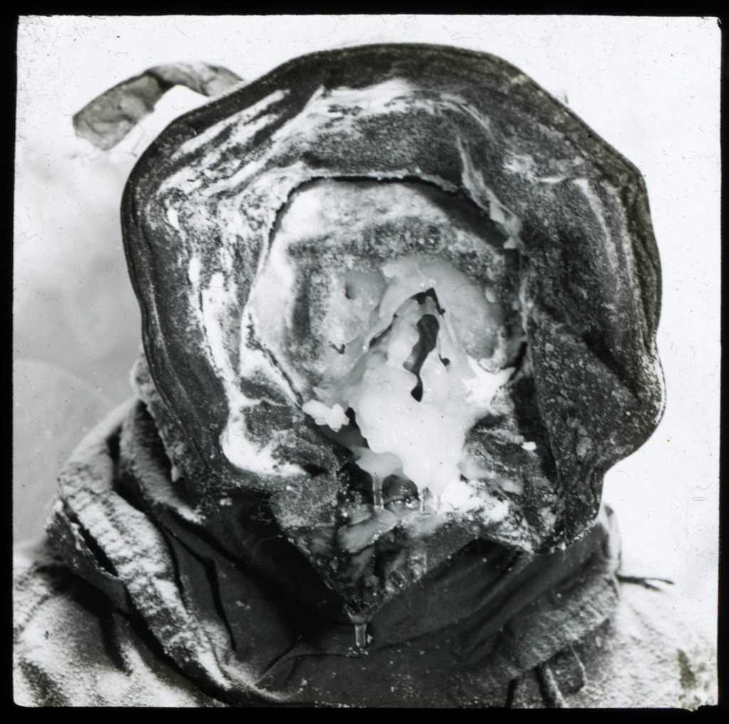 antarctic_richards.jpg