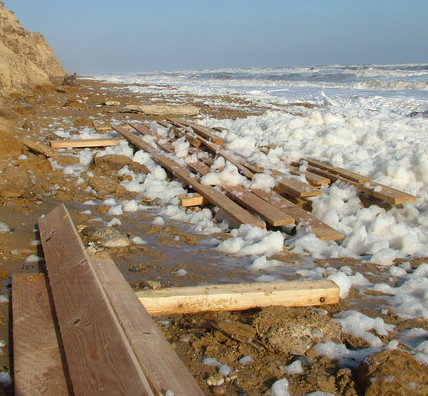 beach.png